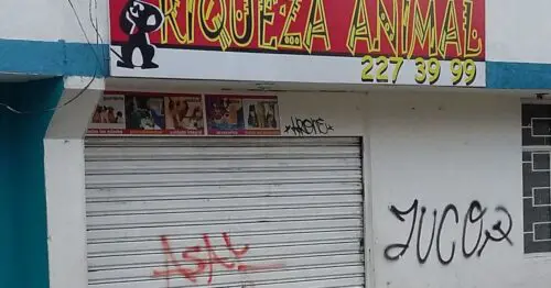 VETERINARIA RIQUEZA ANIMAL VETERINARIA RIQUEZA ANIMAL